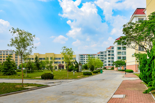 小區(qū)景觀綠地