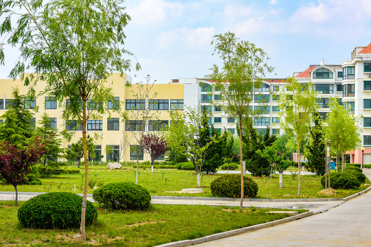 小區(qū)景觀綠地