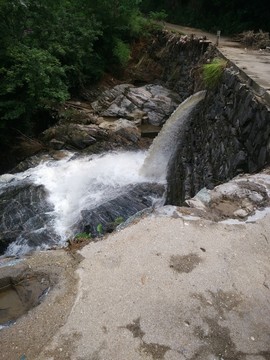 山路 流水 自然 石頭