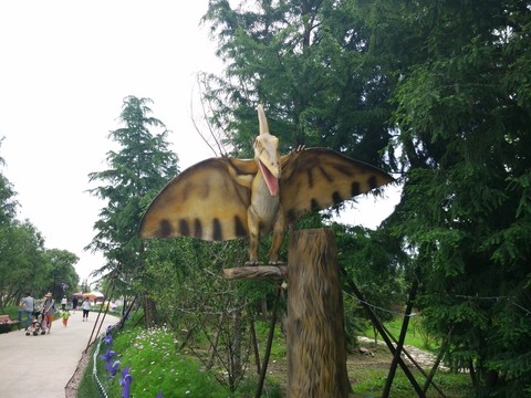 樹林 翼龍