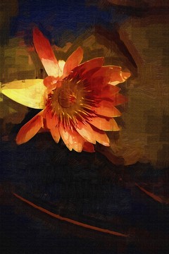 花卉油畫