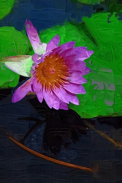 彩色創(chuàng)意油畫(huà)