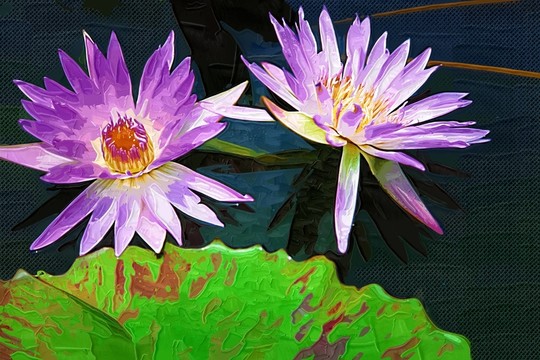 花卉彩色油畫