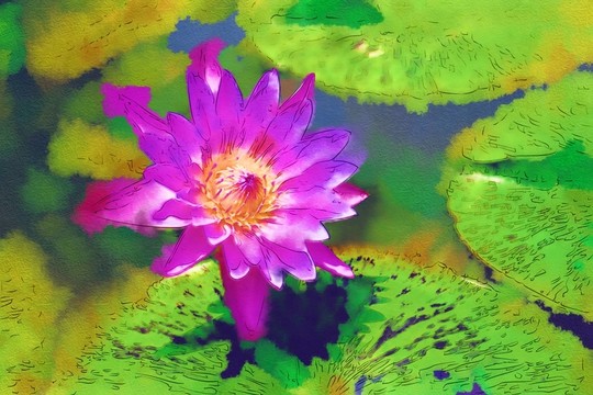 花卉油畫