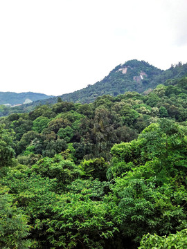遠(yuǎn)山