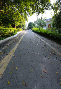 綠道