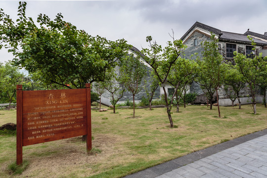 廣州神農(nóng)草堂中醫(yī)藥博物館
