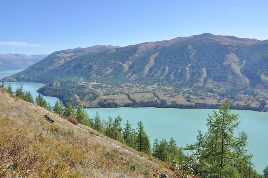 高山流水