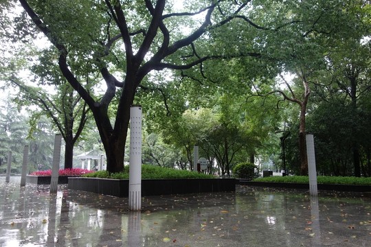 公園雨景