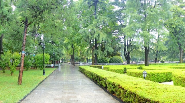 公園