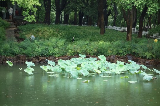 公園一角