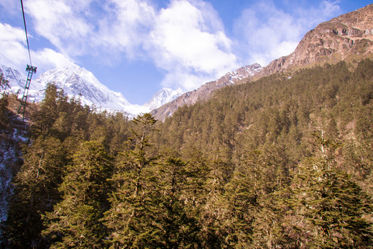 森林高山