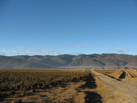 高原農(nóng)田