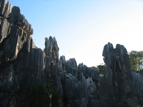 石林景觀