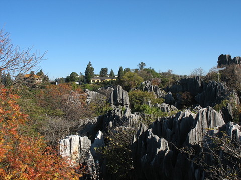 石林風(fēng)景