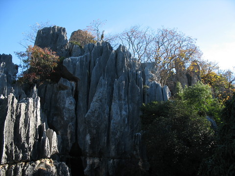 石林風光