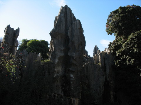 石林