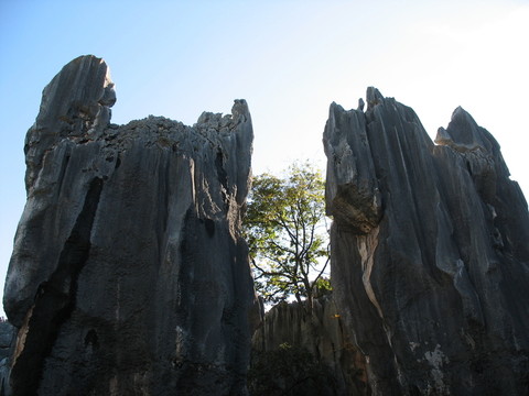 石林