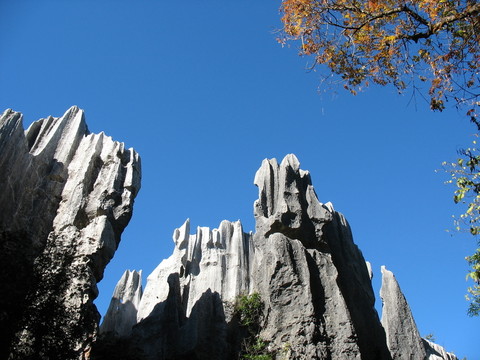 石林