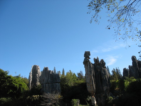 阿詩(shī)瑪