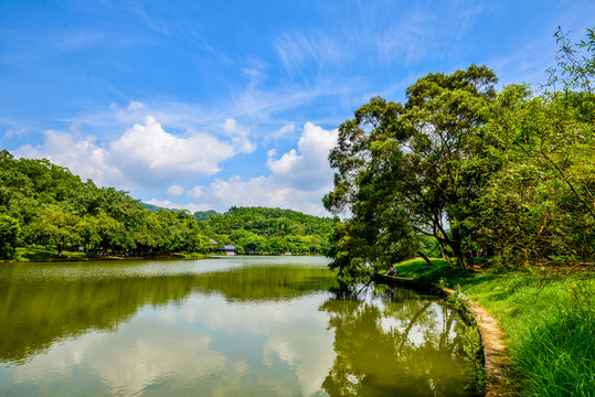 陽光湖岸風景