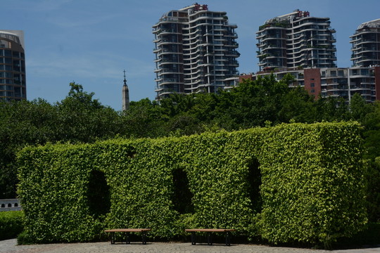 綠樹
