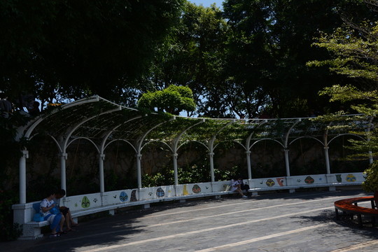 綠樹
