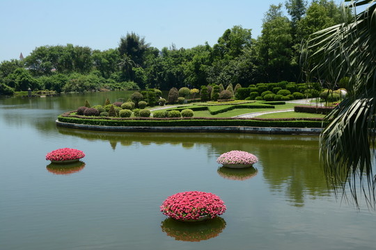 綠化