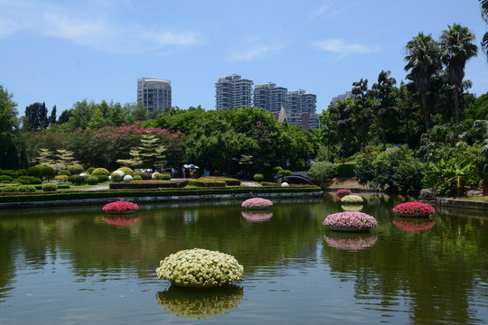 綠化