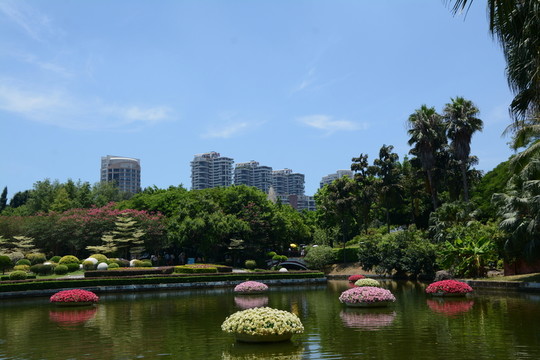 綠化