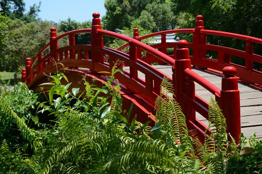 小橋