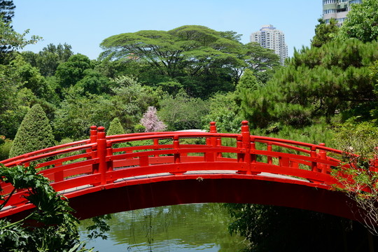 小橋