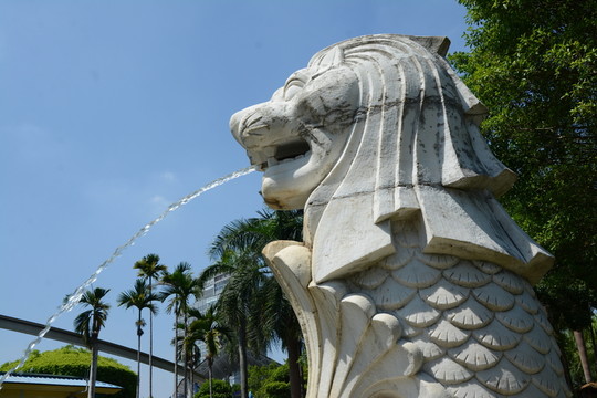 魚吐水