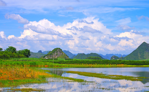 湖 濕地