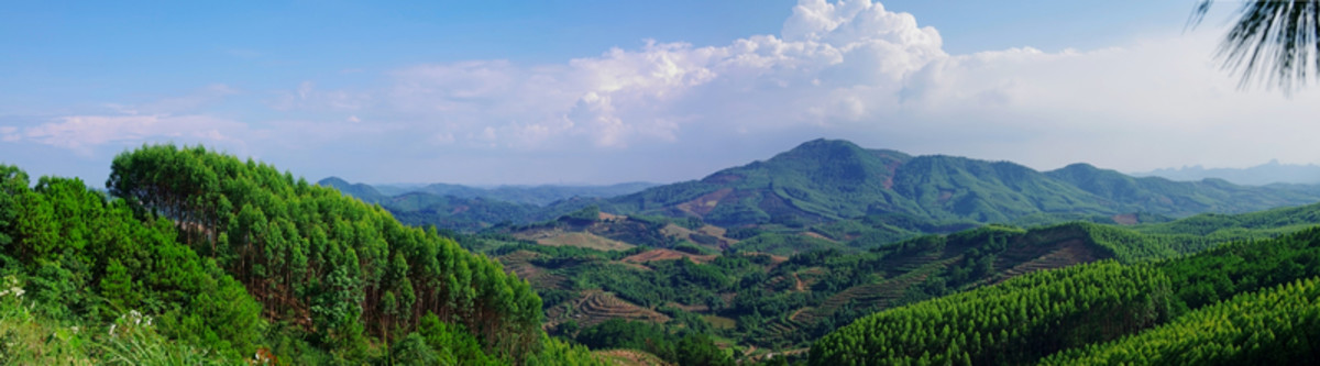 巨幅風(fēng)景