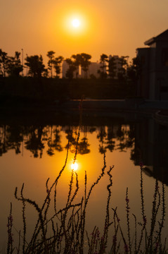 惠州鹿江公園