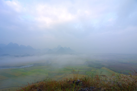 清晨大霧