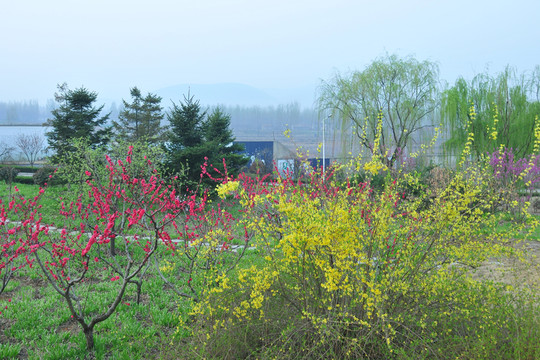 公園風(fēng)景