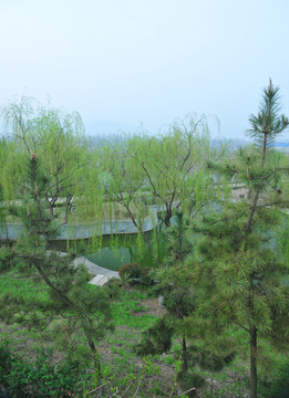 公園風(fēng)景   春天公園