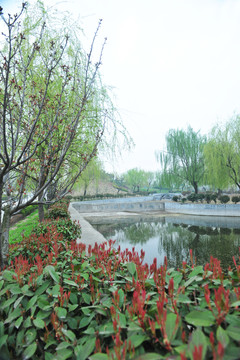 公園風(fēng)景 水池 水塘