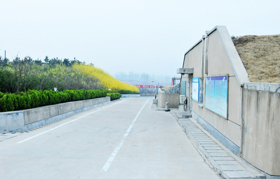 廠區(qū)風(fēng)景 廠房
