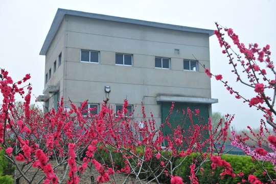廠區(qū)風(fēng)景 廠區(qū)綠化