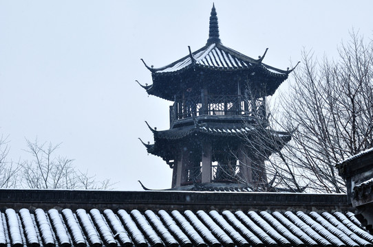杭州西溪濕地雪景