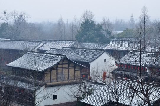 杭州西溪濕地雪景