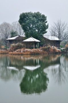 杭州西溪濕地雪景