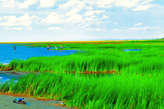 唯美風(fēng)景