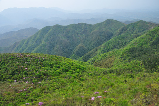 杭州余杭鸕鳥(niǎo)山風(fēng)光