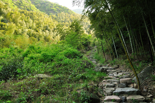 杭州余杭鸕鳥山風(fēng)光