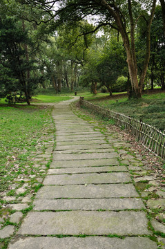 杭州植物園風(fēng)光