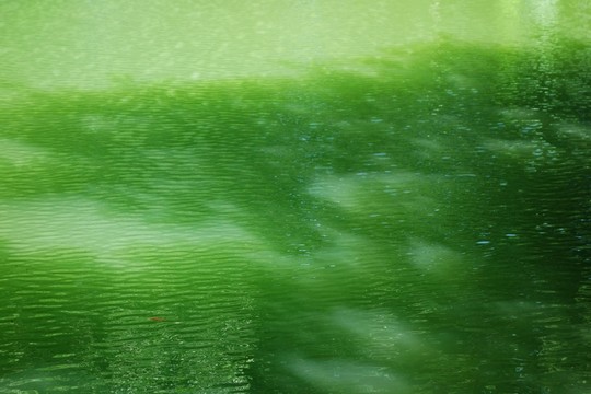 水波紋